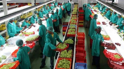 The new-age of agro-processing in Africa