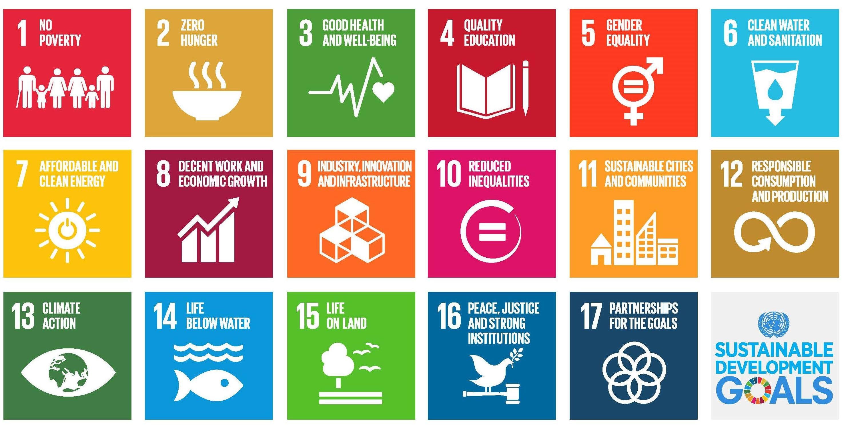CSR – A suitable vehicle to drive the SDGs