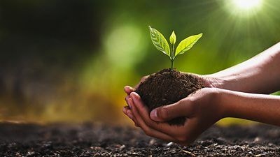 All is set for ‘Green Ghana Day’ today