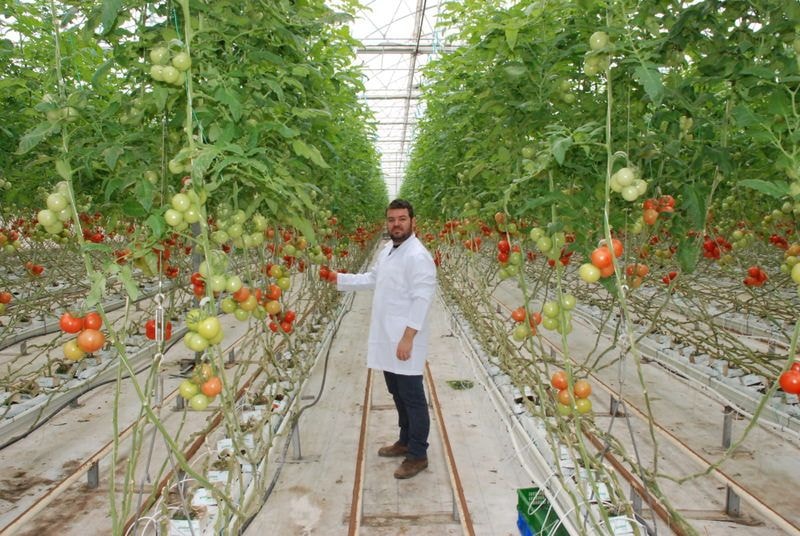 Italy to promote expertise in seeds, greenhouse technology and irrigation