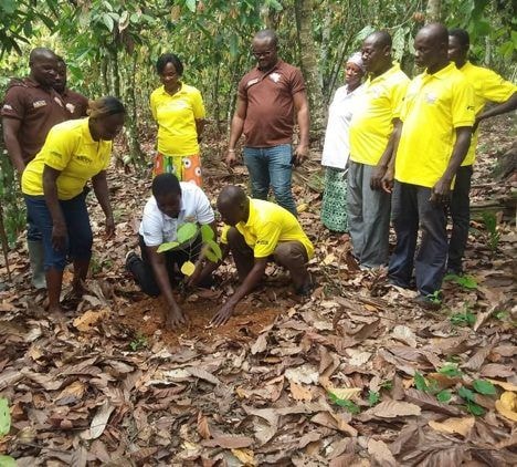 Cocoa Abrabopa Association plants 1,500 trees to support Green Ghana Day