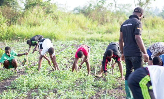 Heifer International Report: Only 5% of youth are into agric processing