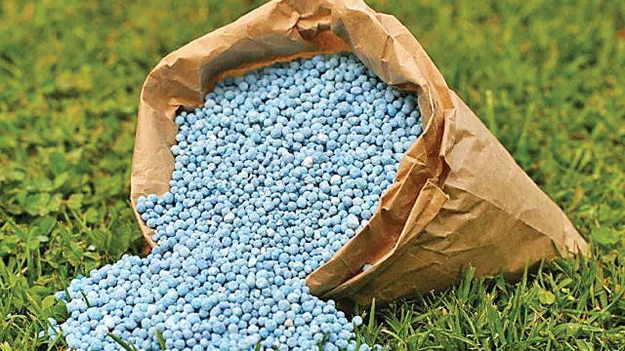 NABCo recruits complicit in PFJ fertilizer smuggling