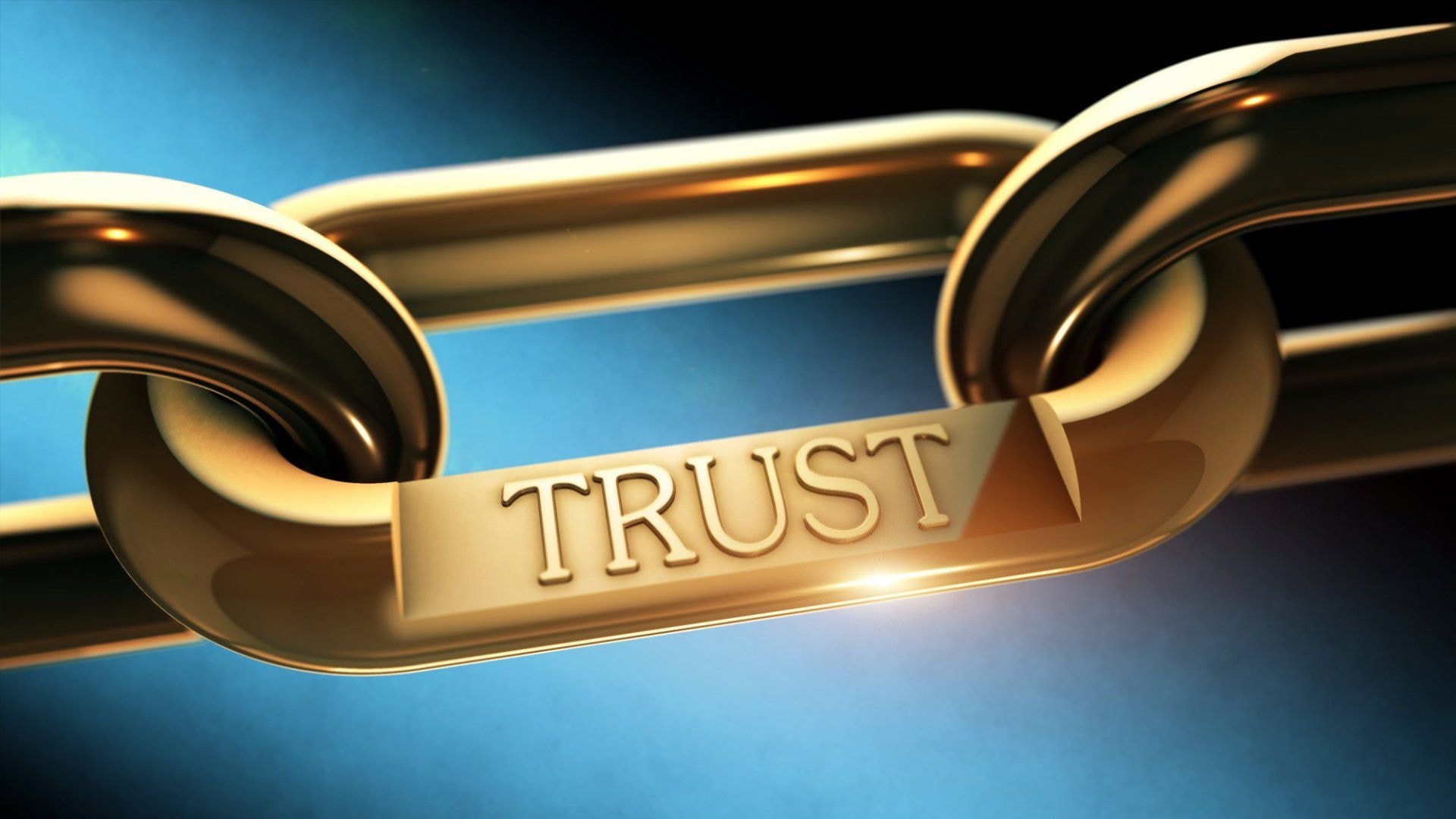 The Trust Practitioners: the health of service excellence