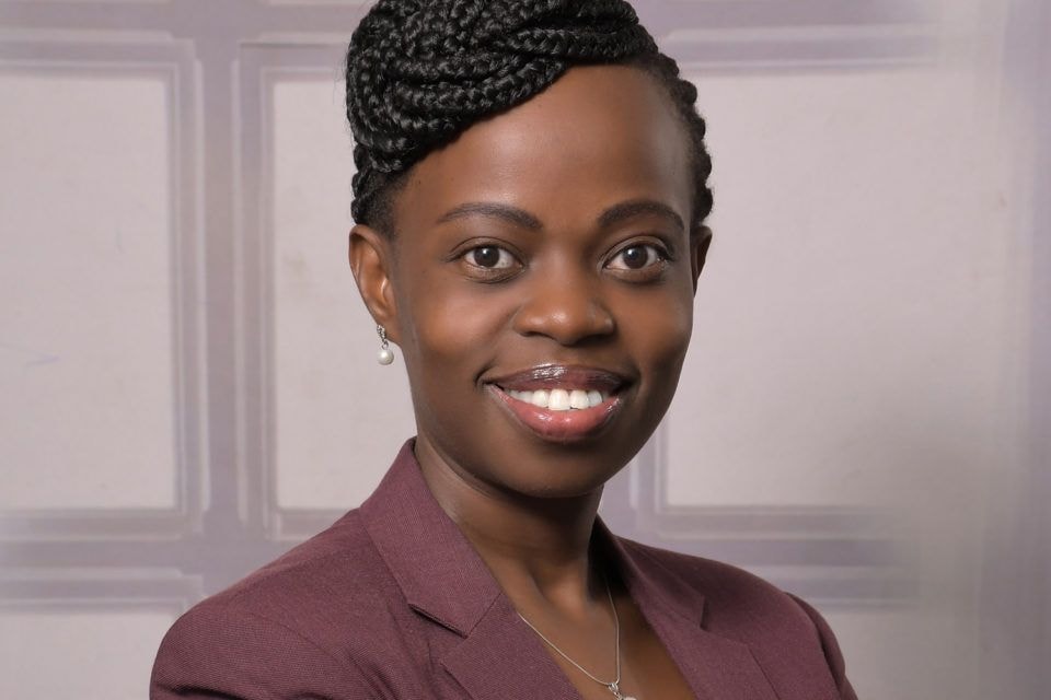 Digital transformation initiative for Africa’s agri-food sector unveiled