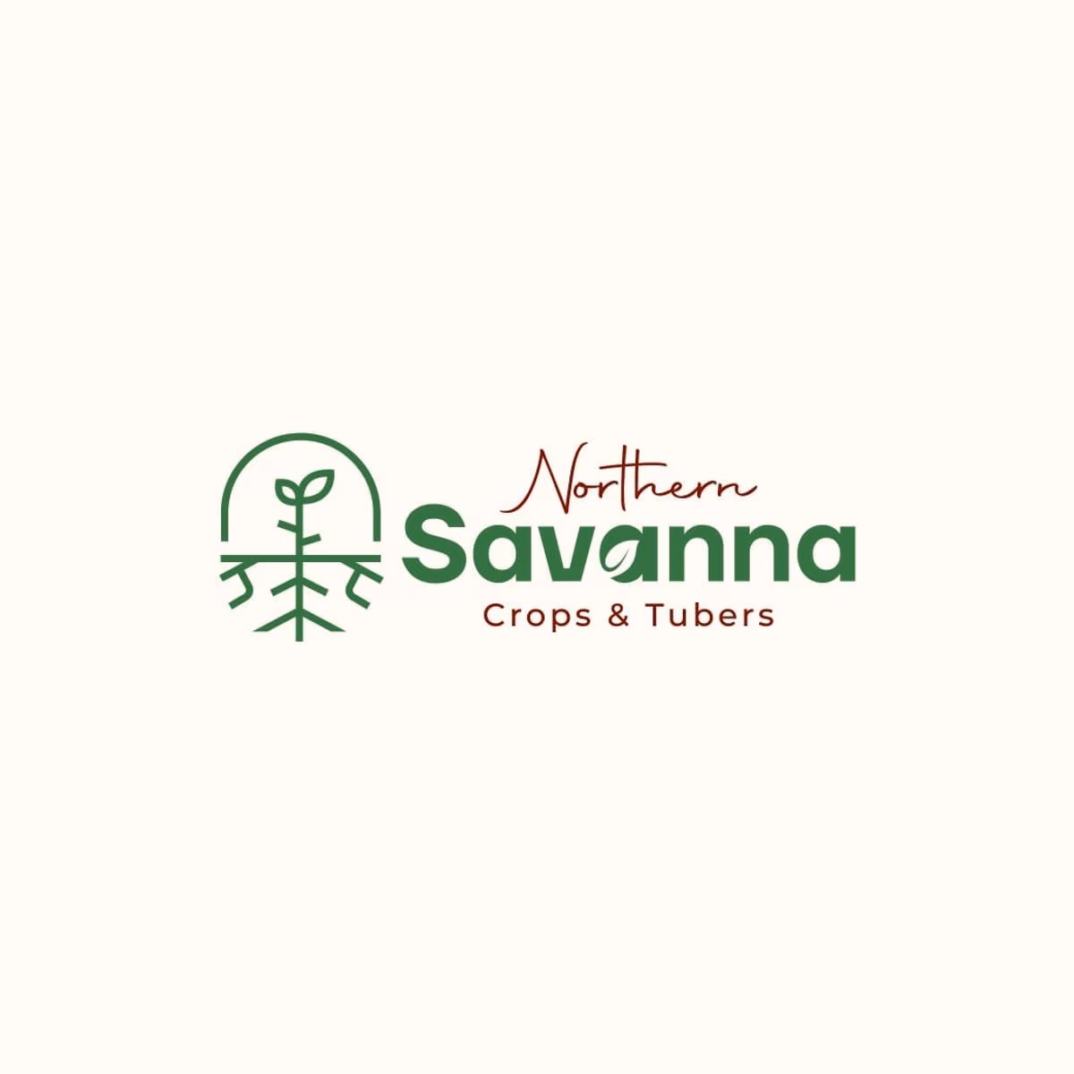 Northern-Savanna, Complete Farmer partner to cultivate 500 acres of sesame, mark step towards export-oriented agriculture