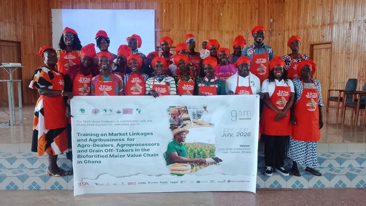 CSIR-SARI promotes biofortified maize to drive nutrition, agribusiness growth