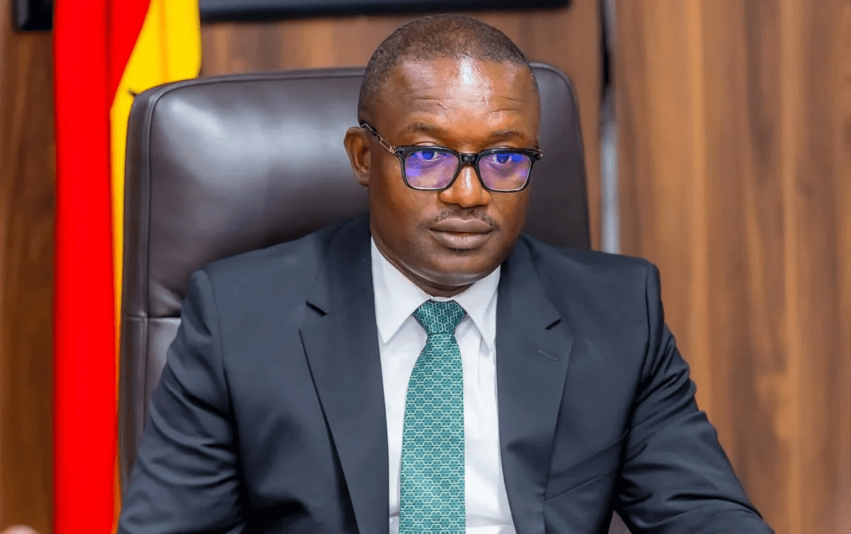 Financial discipline critical to unlocking power sector investments — Energy Minister  