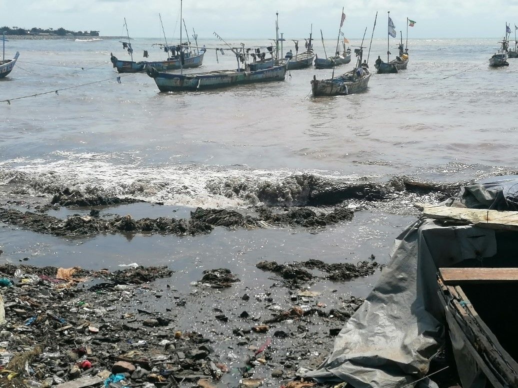 Seaweed should not be associated with activities of oil companies – GNPC Board Chair