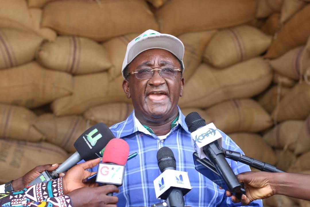 Agric Minister makes case for E-levy; says part of it will be used to support farmers