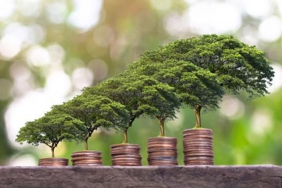 Budget 2022: Setting the agenda for a green growth and sustainable dev’t