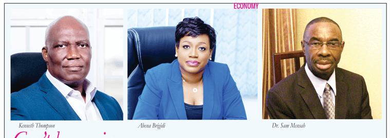 Gov’t borrowing: Domestic market only has short-term capacity – analysts
