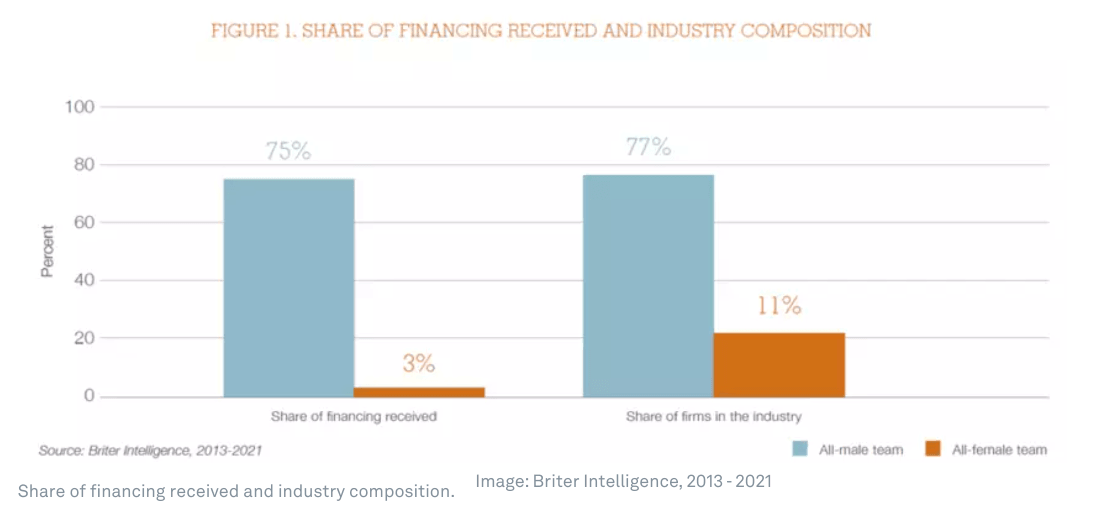 The problem of access to finance for women persists… even in tech