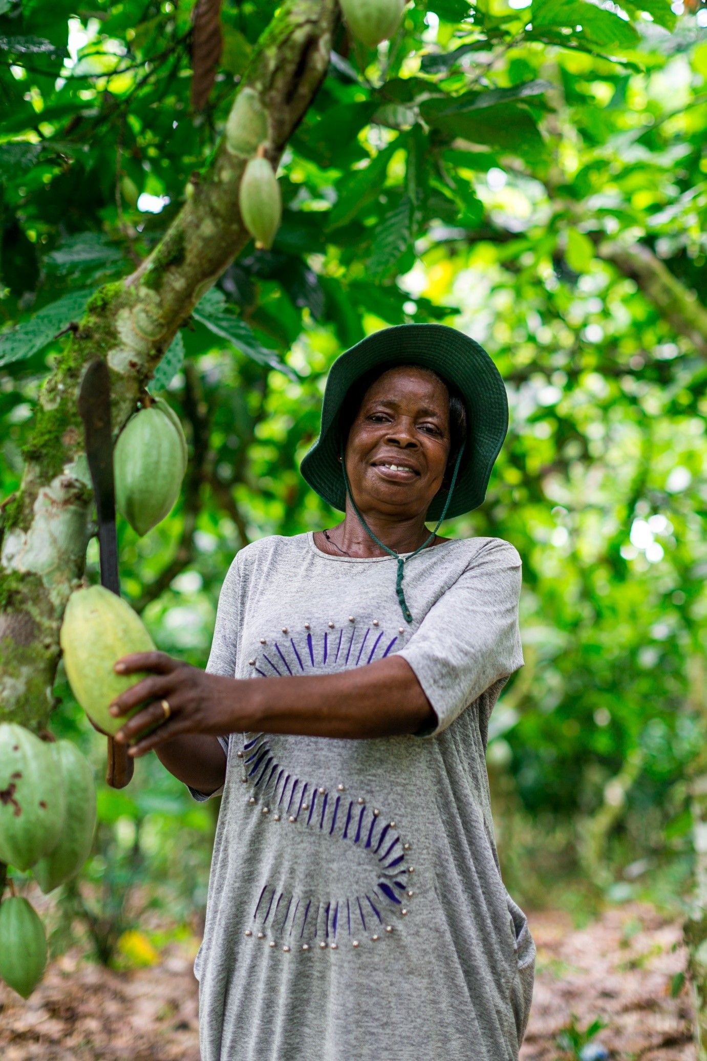 New Fairtrade report to help cocoa farmers out