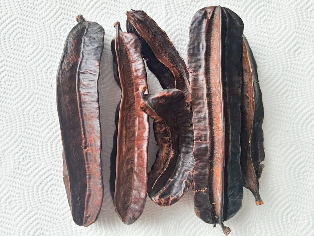 Prekese: study shows it treats epilepsy, lowers blood sugar, cholesterol and hypertension