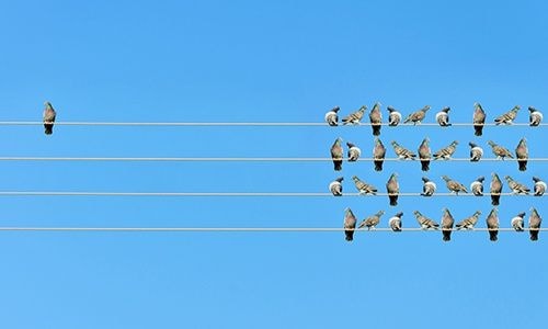 Service & Experience with J. N. Halm: Ostracised!
