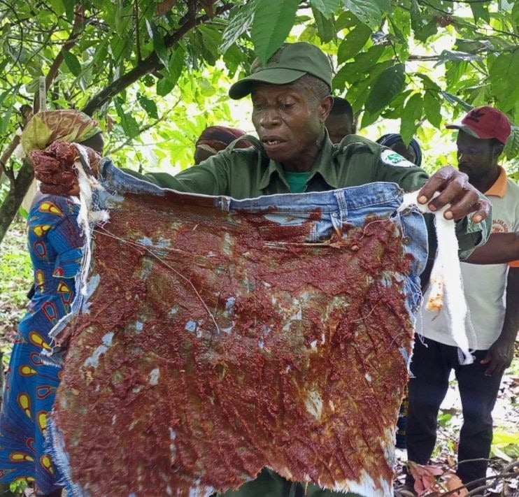Conservation Alliance launches Human Elephant co-existence Project