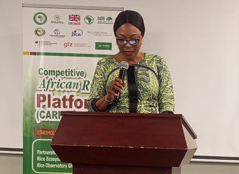 Ghana’s National Competitive African Rice Platform Officially Launched To Boost Sector