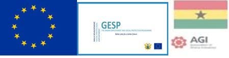 GESP Project ends with 400,000 euros invested in agroprocessiong sector in Ghana
