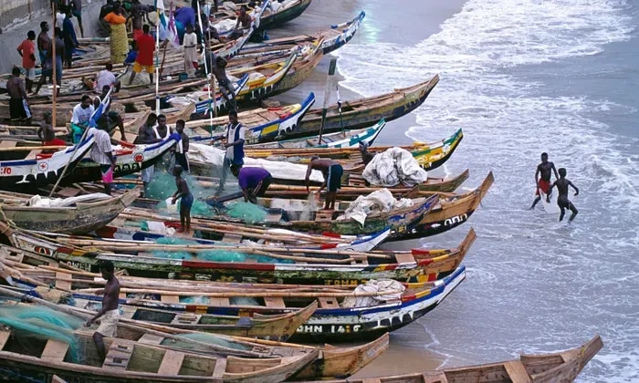 Illegal fishing, overfishing and corruption threaten livelihood  -report