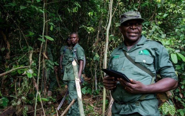 Ghana receives first US$4.9m World Bank carbon payment