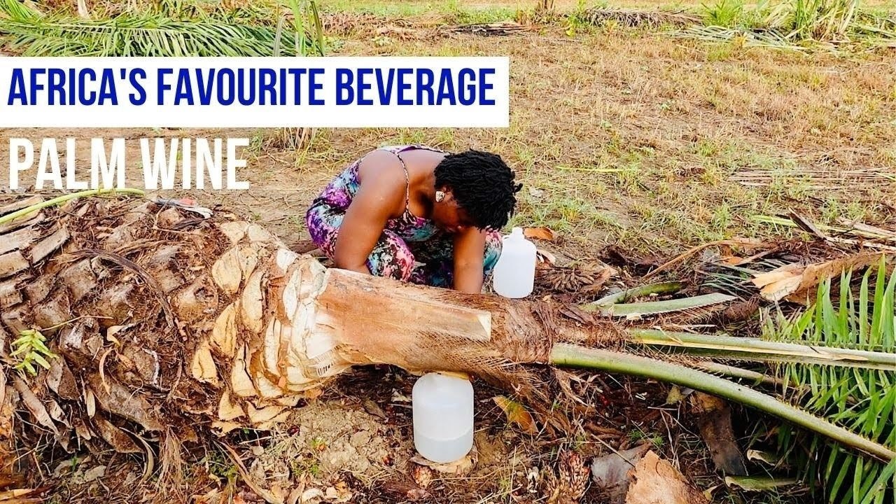 Palm wine lowers blood sugar and cholesterol, and supports heart health