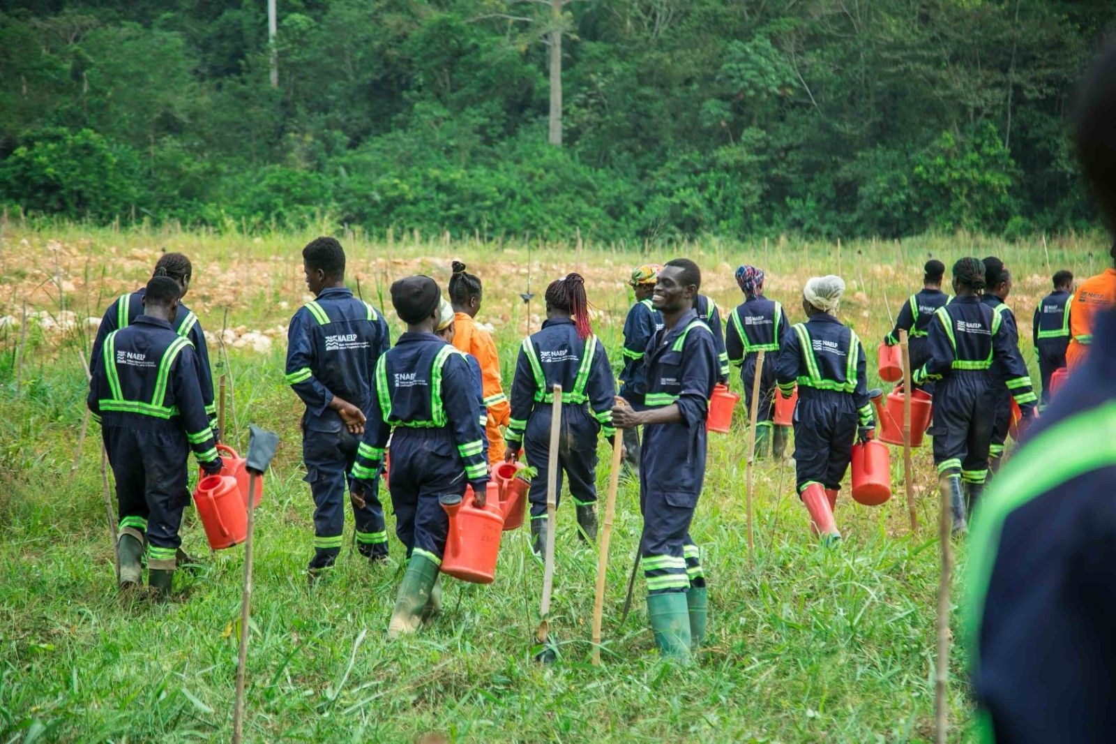 Gov’t reclaims over 1000 hectares of galamsey lands in Western North