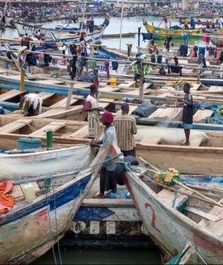 Fish dumping at sea still prevalent