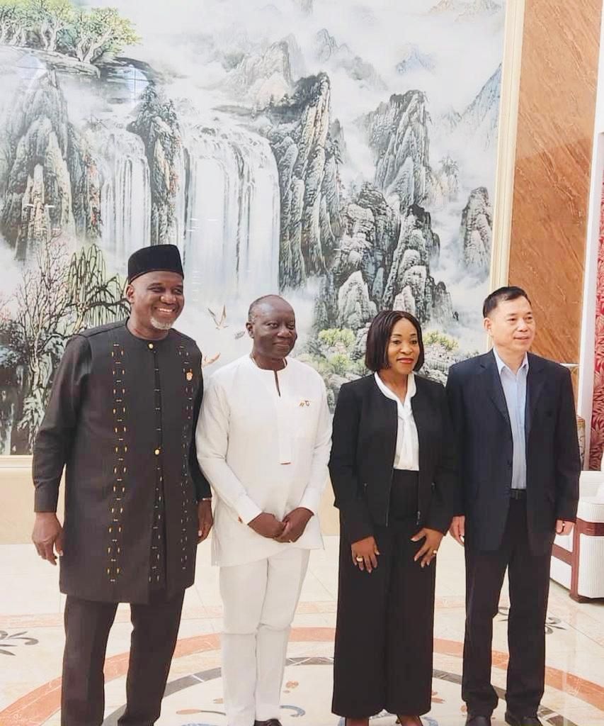 Grant us exemplary debt treatment solution - Ofori-Atta to China delegation
