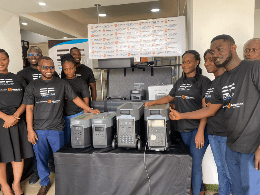 Invest in Eco friendly generators for sustainable businesses - Diana Nyarko-Danquah
