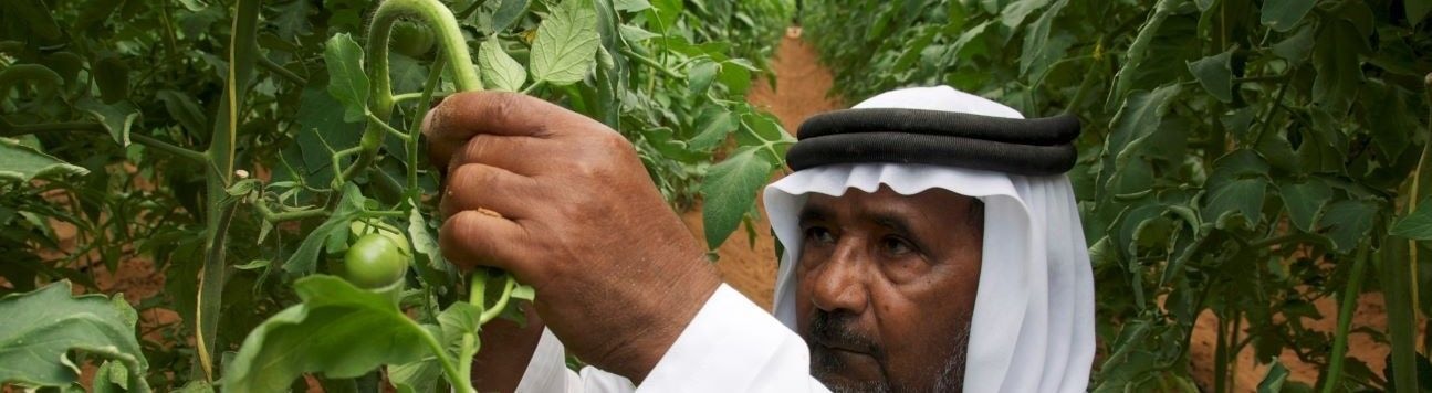 How agri-tech start-ups are driving investment in emerging markets
