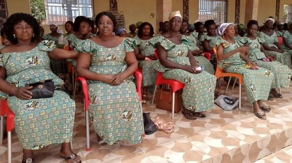Cocoa farmers urged to embrace hand-pollination to boost productivity