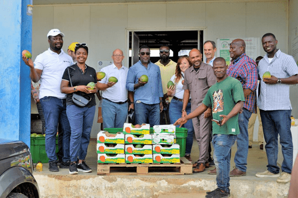 EU-funded WACOMP transforms mango industry
