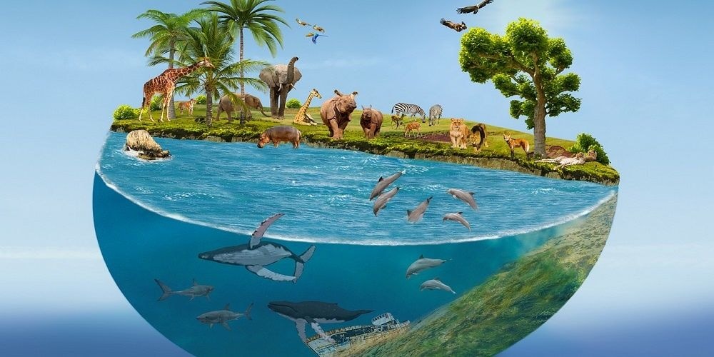 2023 International Biodiversity Day observed with determination to reverse trend of destruction
