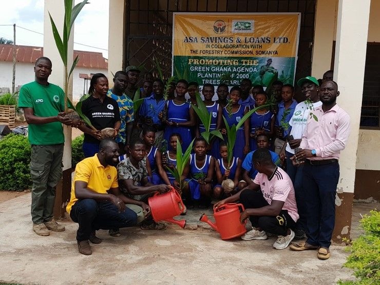 ASA Savings and Loans plant over 200 trees at Somanya