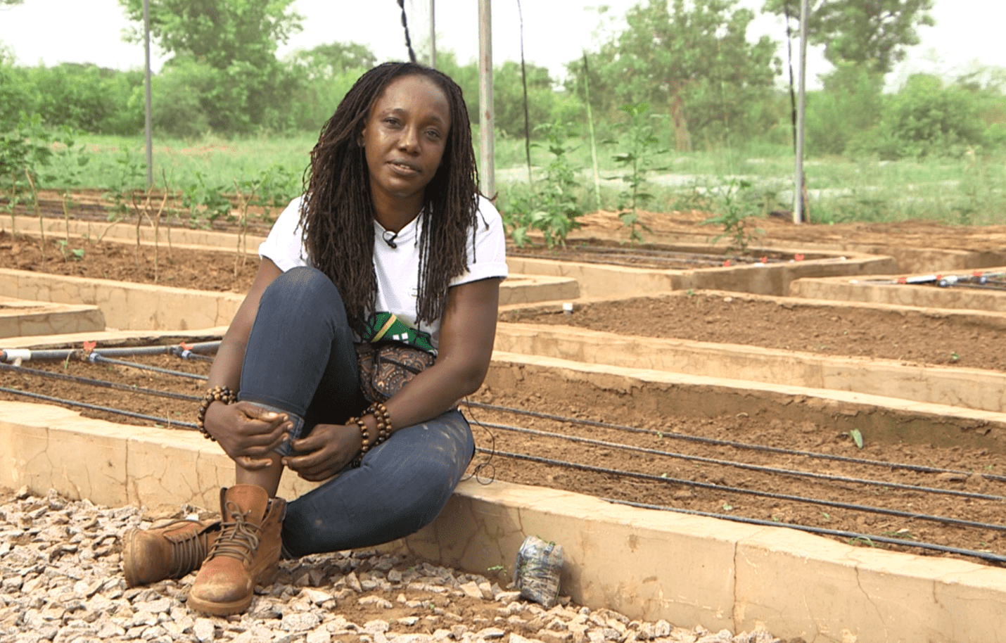 Surviving the impact of climate change through backyard gardening