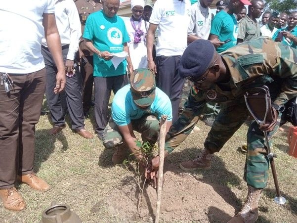 Tamale Zongo Chief advocates aggressive tree-planting
