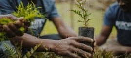 Sustainable land practices yield high returns in northern zone