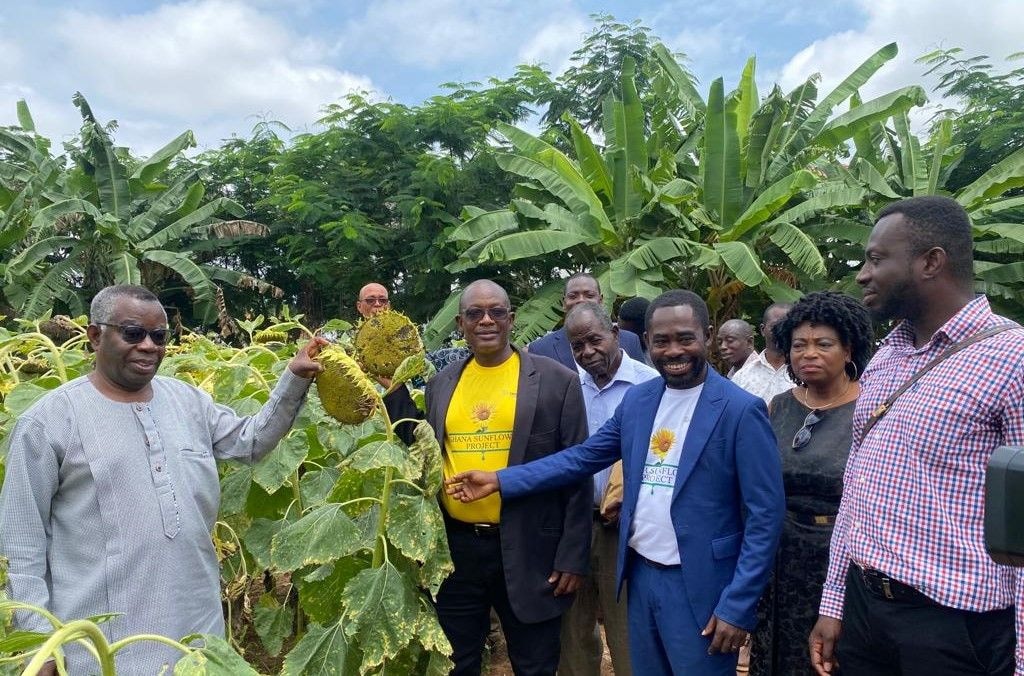 Sunflower Project re-launched