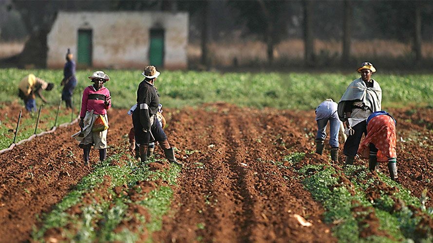 Time is running out to help Africa feed itself