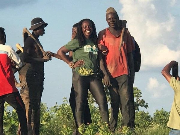 Will cassava be able to replace cocoa?