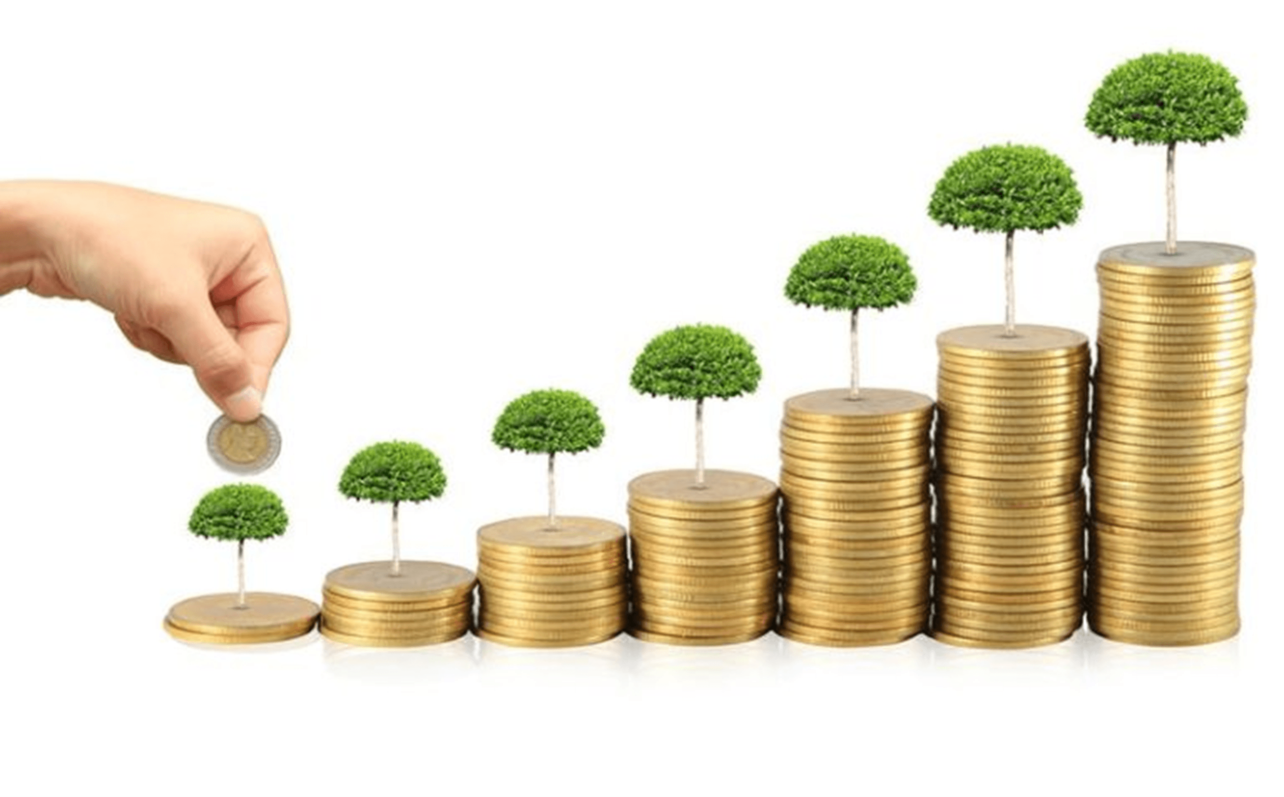 Risk WATCH with Alberta Quarcoopome: Managing key accounts with unique skills (1)