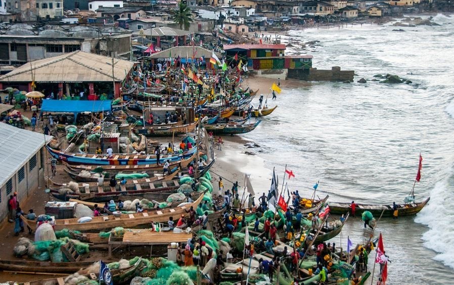 Fisheries law to safeguard US$425M seafood exports