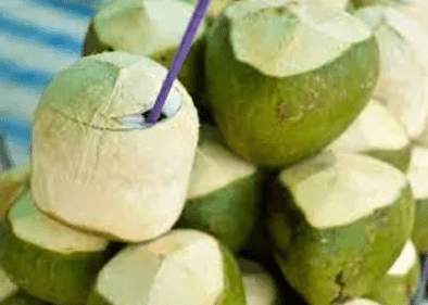 GEPA taps into economic value of coconut
