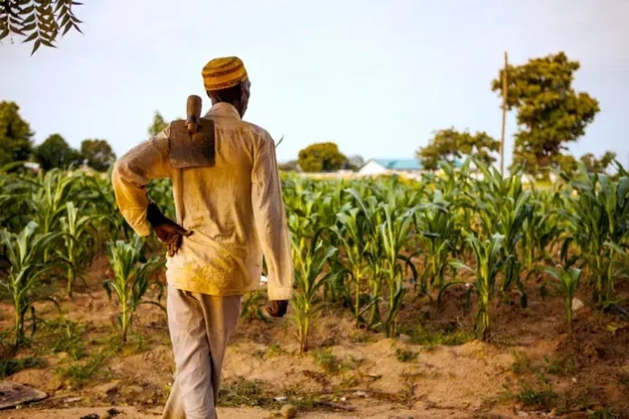 CAG identifies critical sectors to transform agriculture