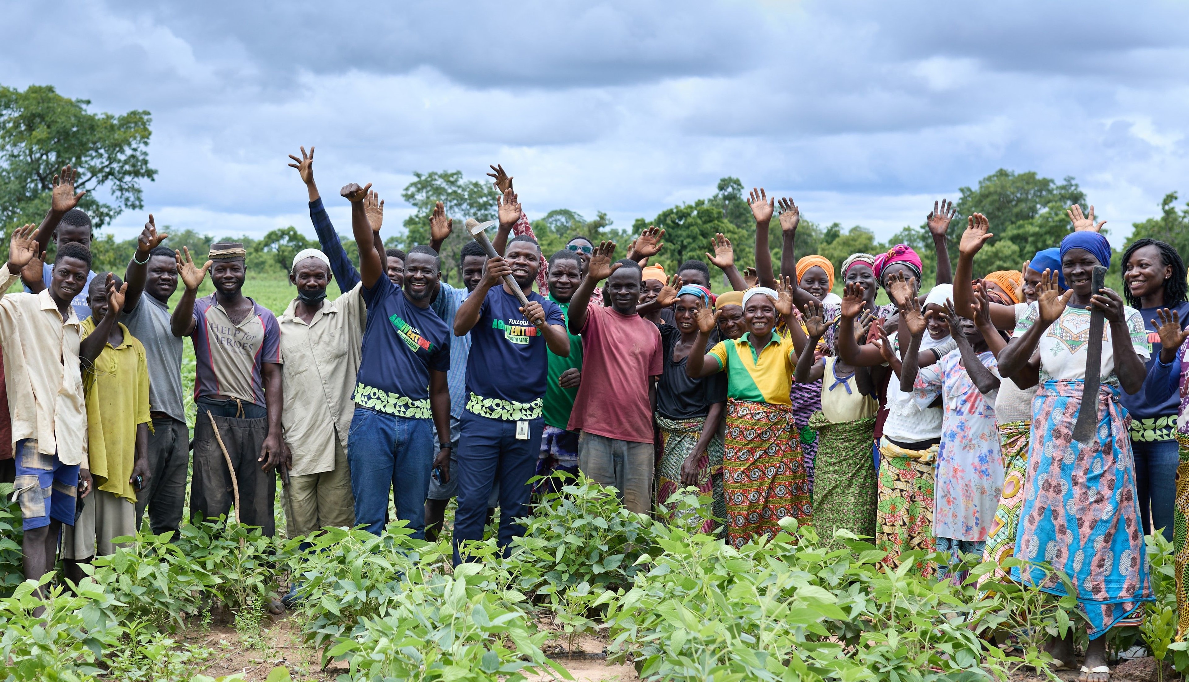  Tullow, Innohub launch Year 2 of Tullow AgriVentures Programme to scale impact in agribusiness sector
