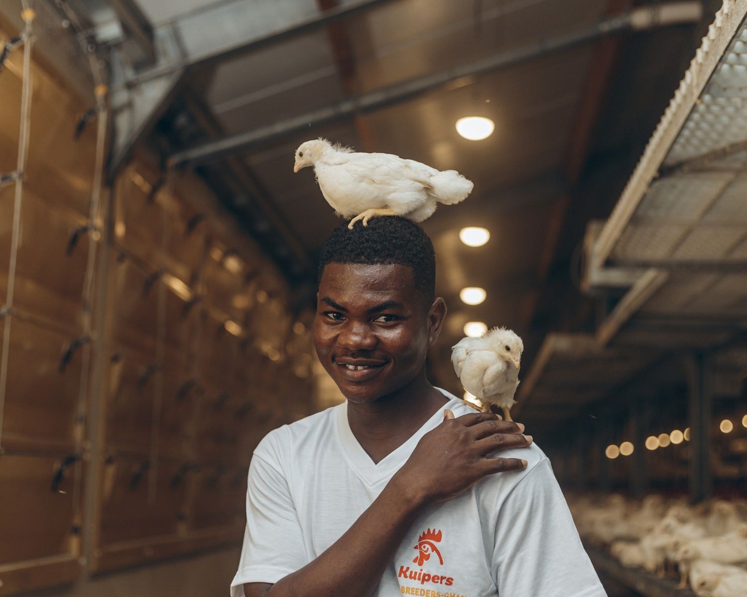 Kuipers Breeders Hatchery celebrates two-year anniversary of first chicks hatched in Ghana