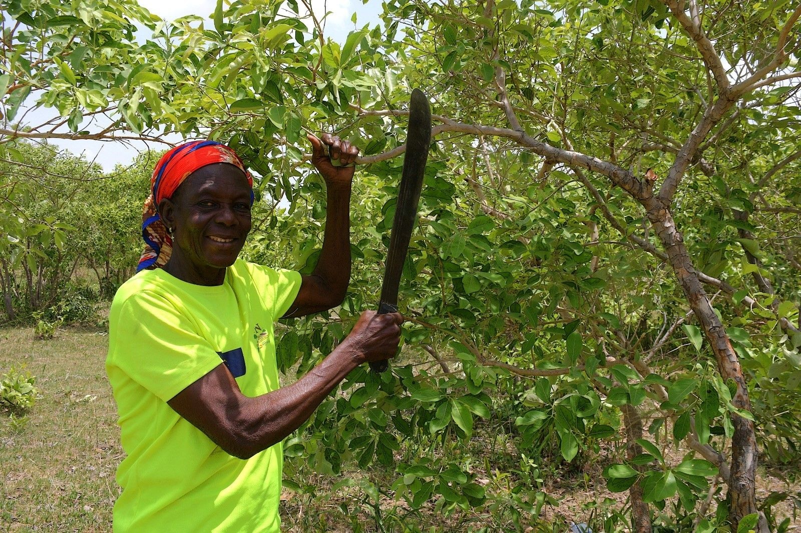 Breaking the cycle of poverty and environmental degradation