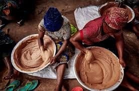 N4G to lead shea industry boom under 24-hour economy