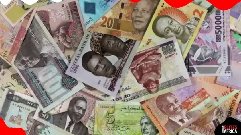 AFRICA-FX-Naira, cedi among those seen stable